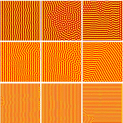 Example of stripe patterns formed behind a wave of competency moving at different speeds